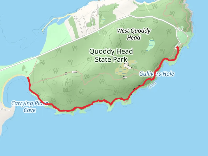 West Quoddy Head Light Station Trail