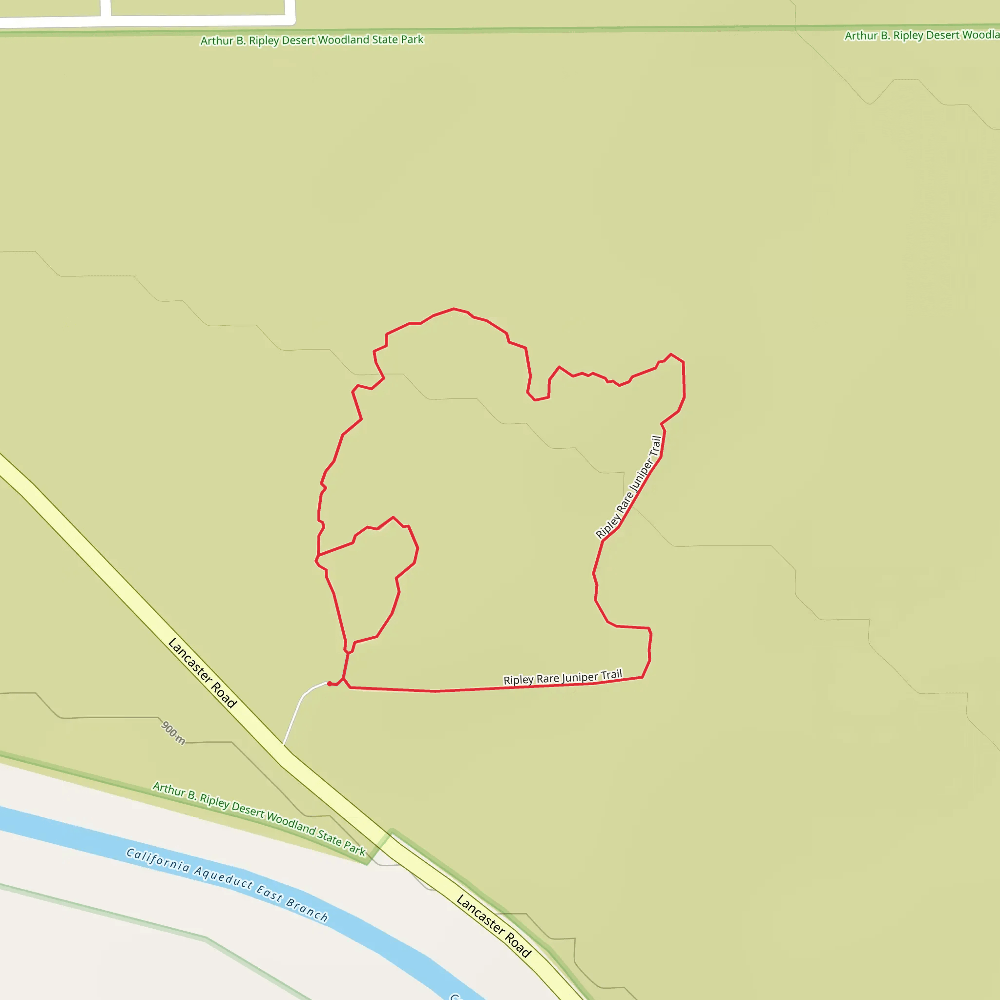 Ripley Rare Juniper Loop Trail mobile static map