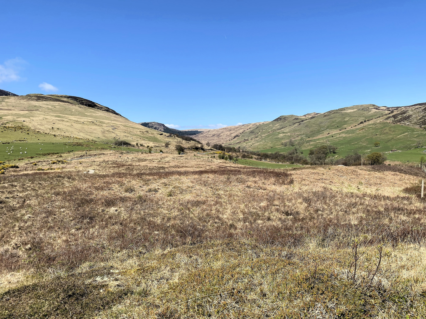 An image depicting the trail Glenloig Bridge, A' Chruach, Beinn Bhreac and Ard Bheinn Loop and its surrounding area.