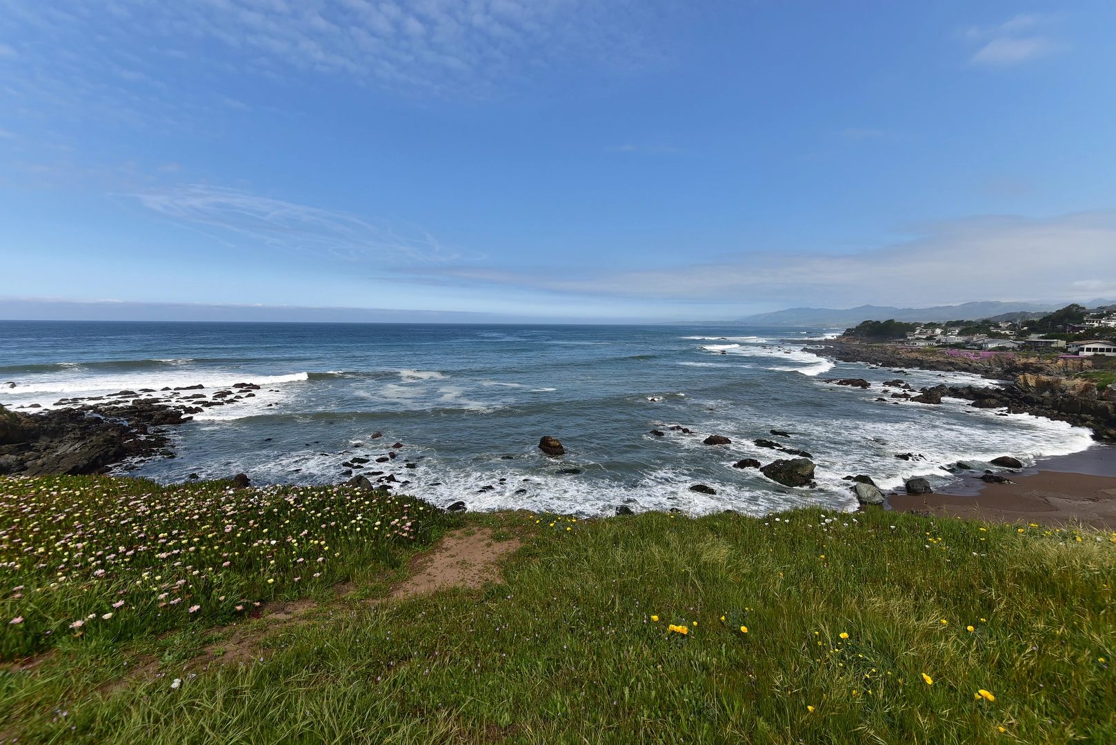 An image depicting the trail Bluff and SeaClift Loop Trail and its surrounding area.