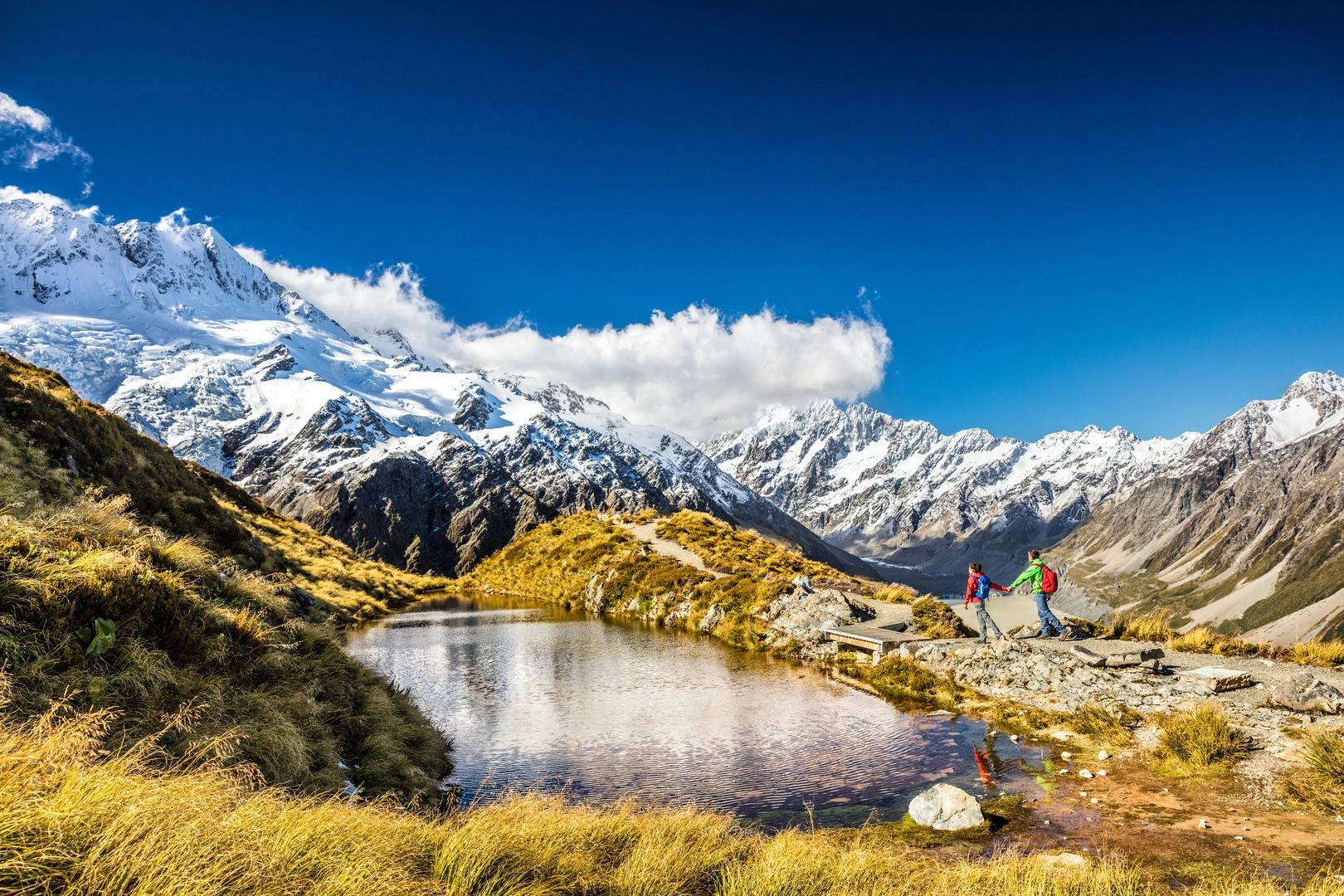 An image depicting the trail Sealy Tarns Track and its surrounding area.