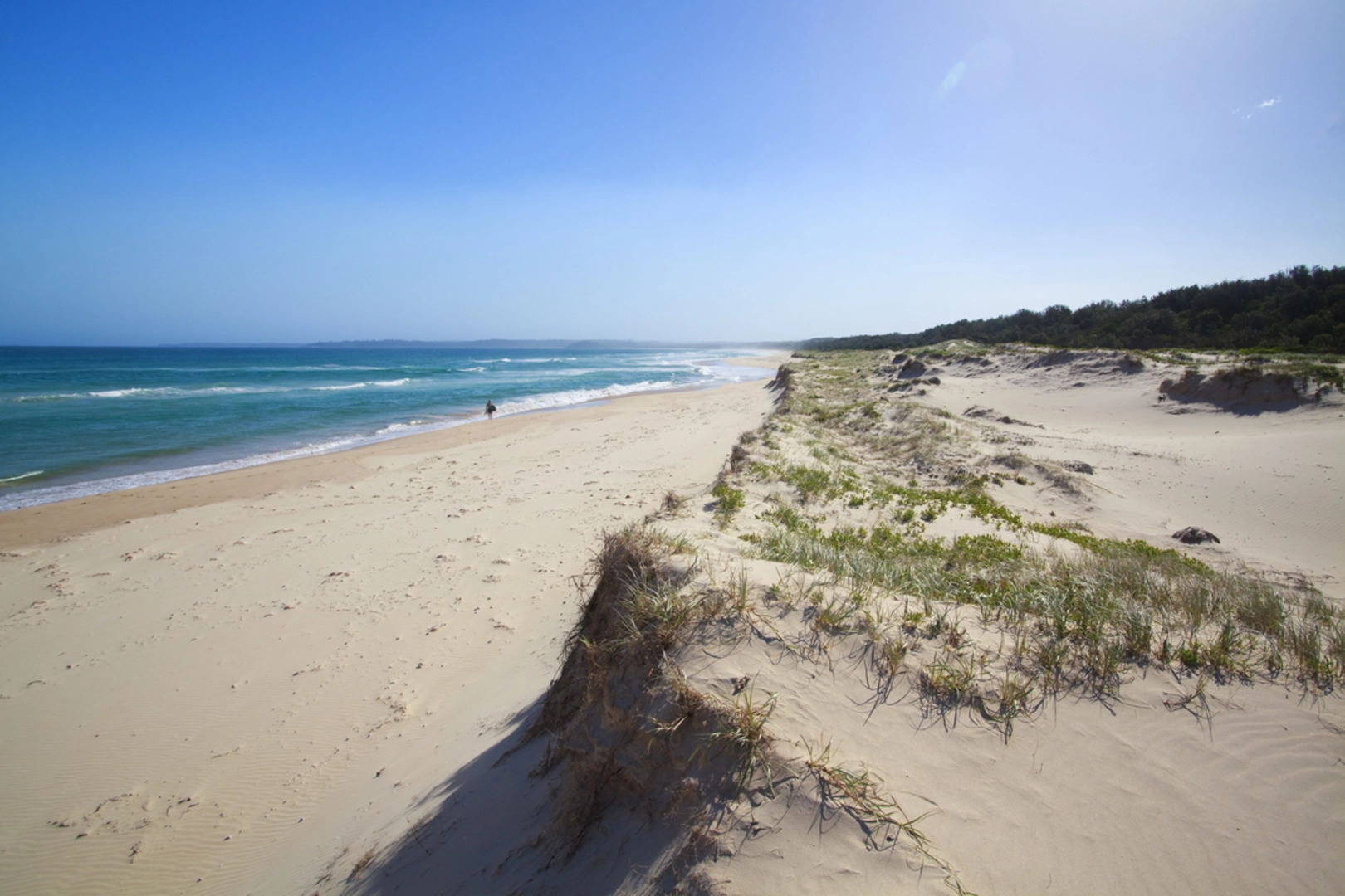 An image depicting the trail Burrawang Track - Conjola Beach to Buckleys Point and its surrounding area.
