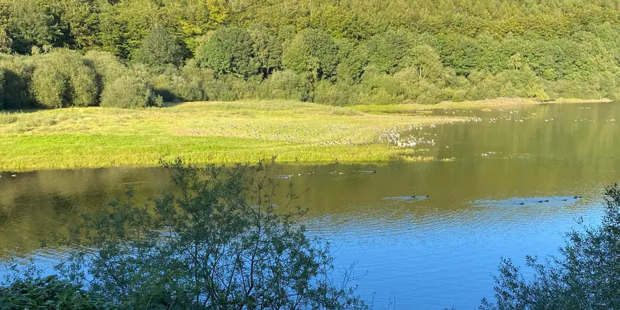 Leathley - Stainburn and Lindley