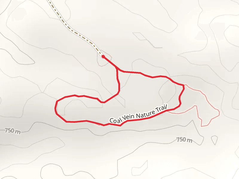 Coal Vein Nature Loop Trail