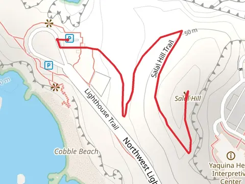 Salal Hill