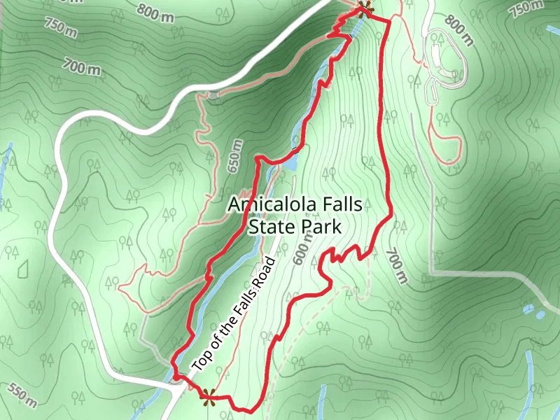 Amicalola Falls and East Ridge Loop Trail