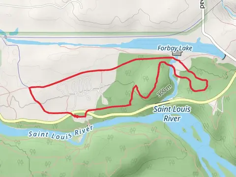 C C C Trail and White Pine Trail Loop