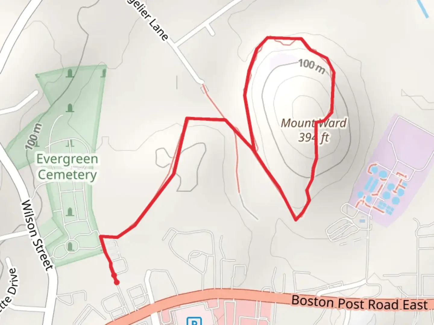 An image depicting the trail Mount Ward Loop and its surrounding area.