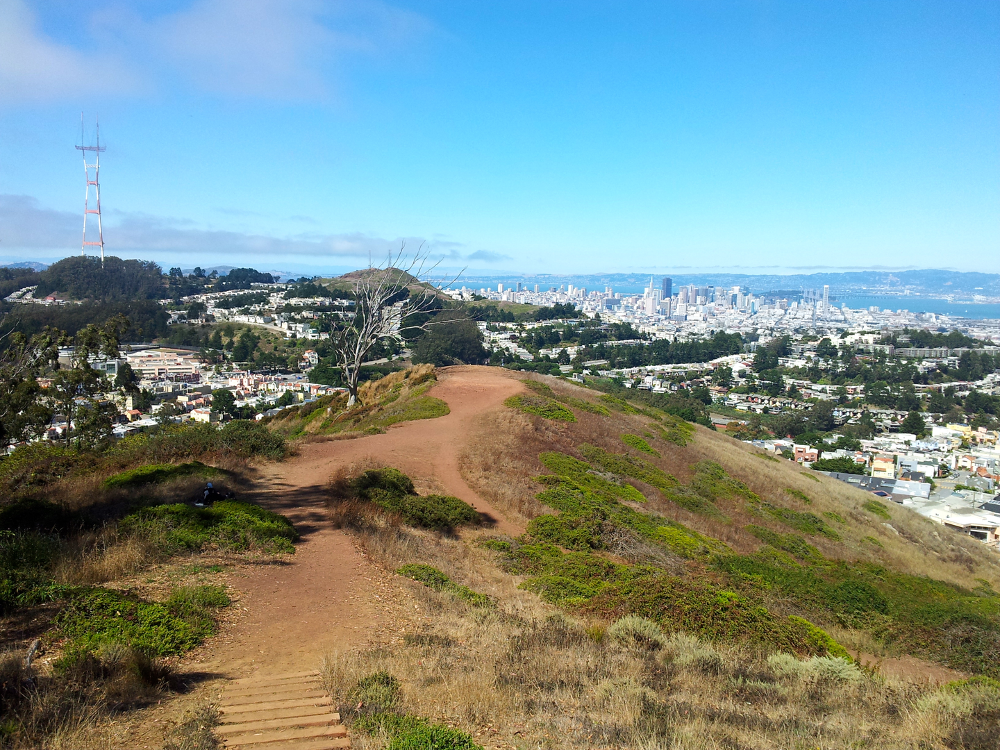 An image depicting the trail Mount Sutro via Historic Loop Trail and its surrounding area.