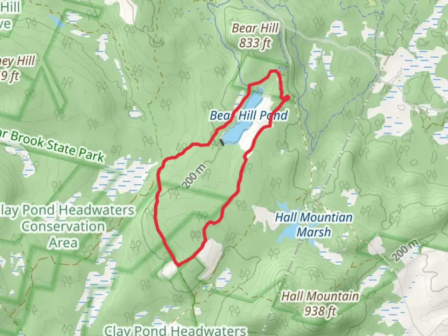 An image depicting the trail Bear Hill Pond Loop Trail and its surrounding area.