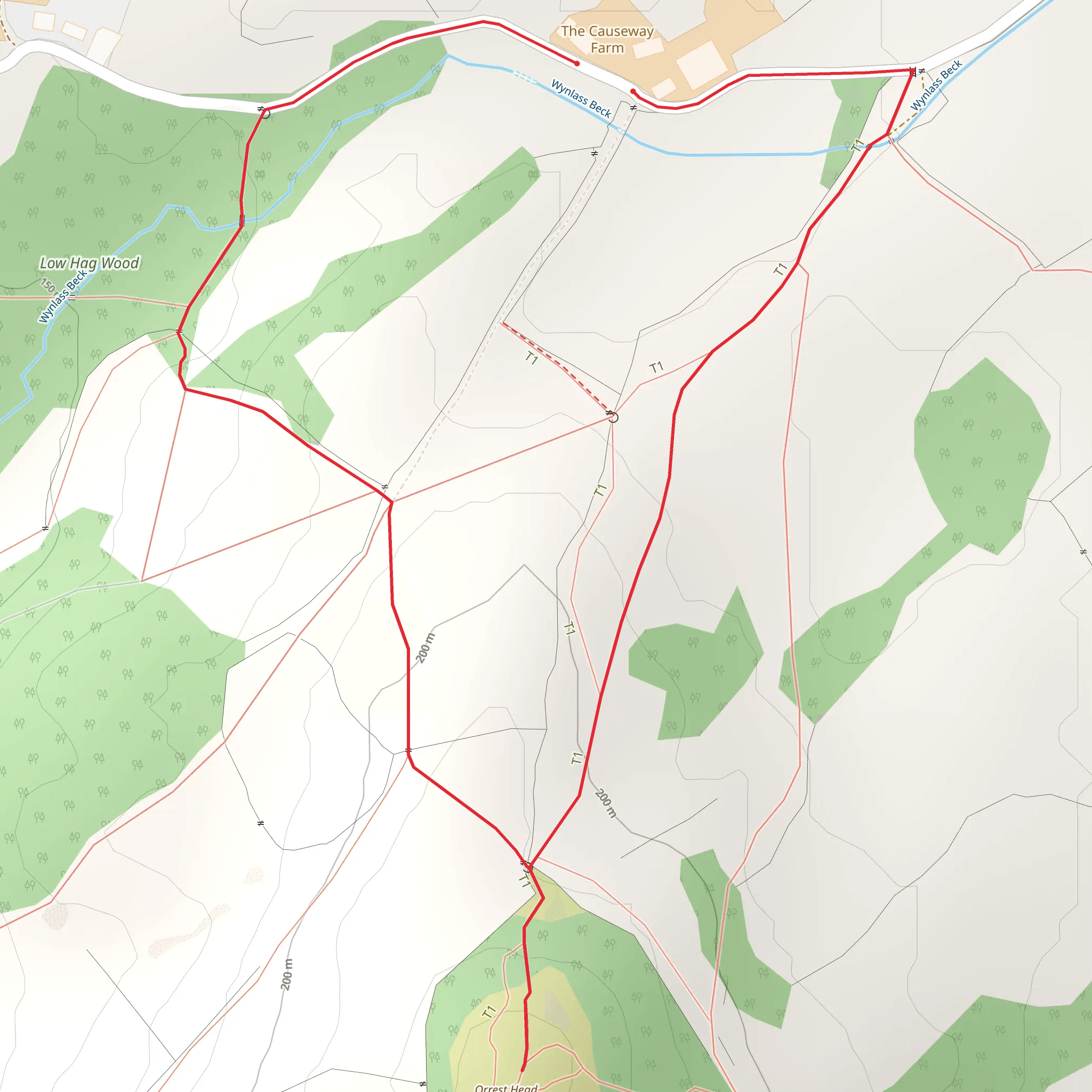 Orrest Head Loop mobile static map