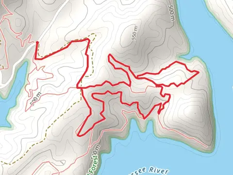 Farmer Top Overlook and Ramsey Bend North Loop