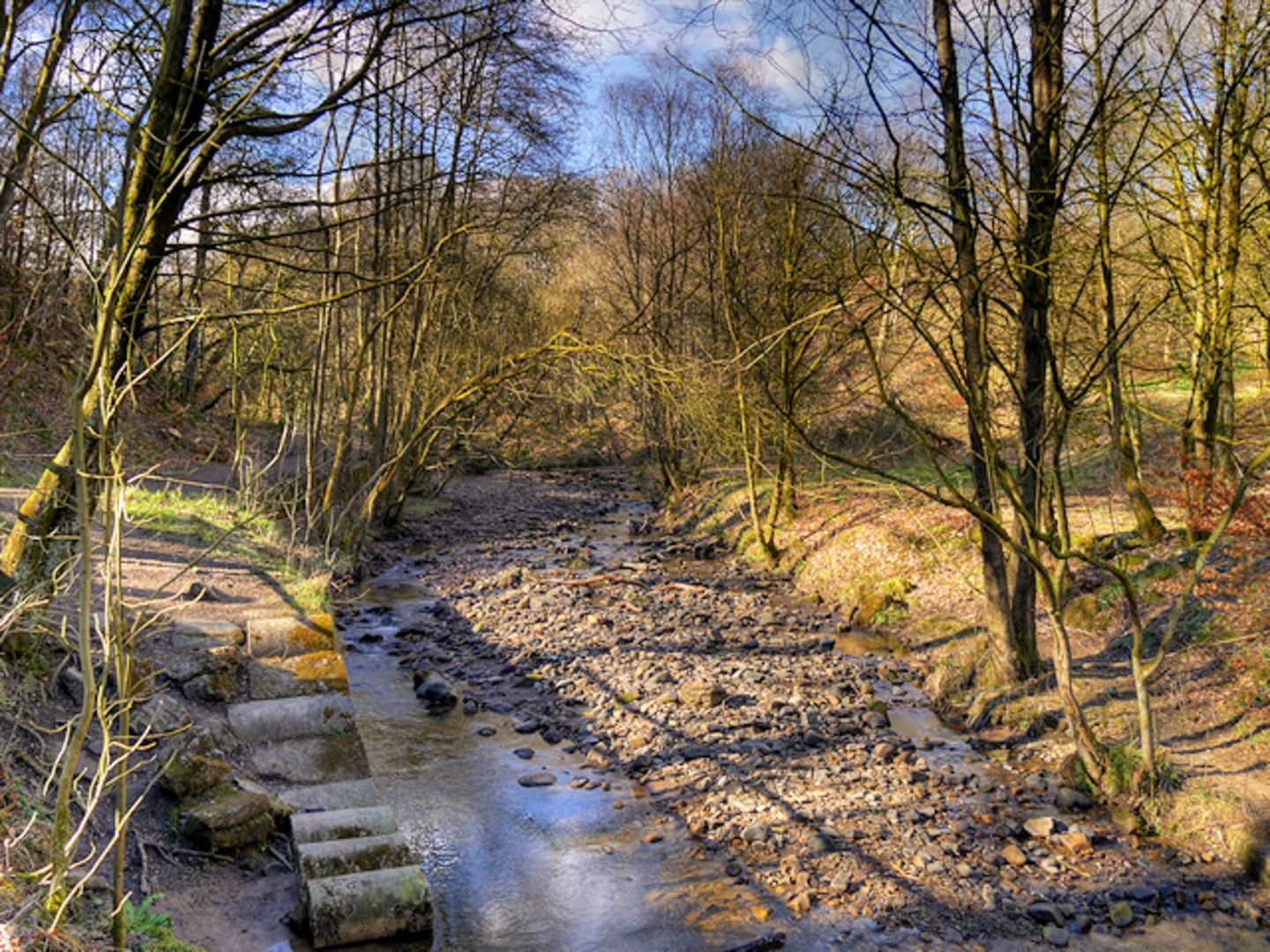 An image depicting the trail Victoria Lake and GM Ringway and its surrounding area.