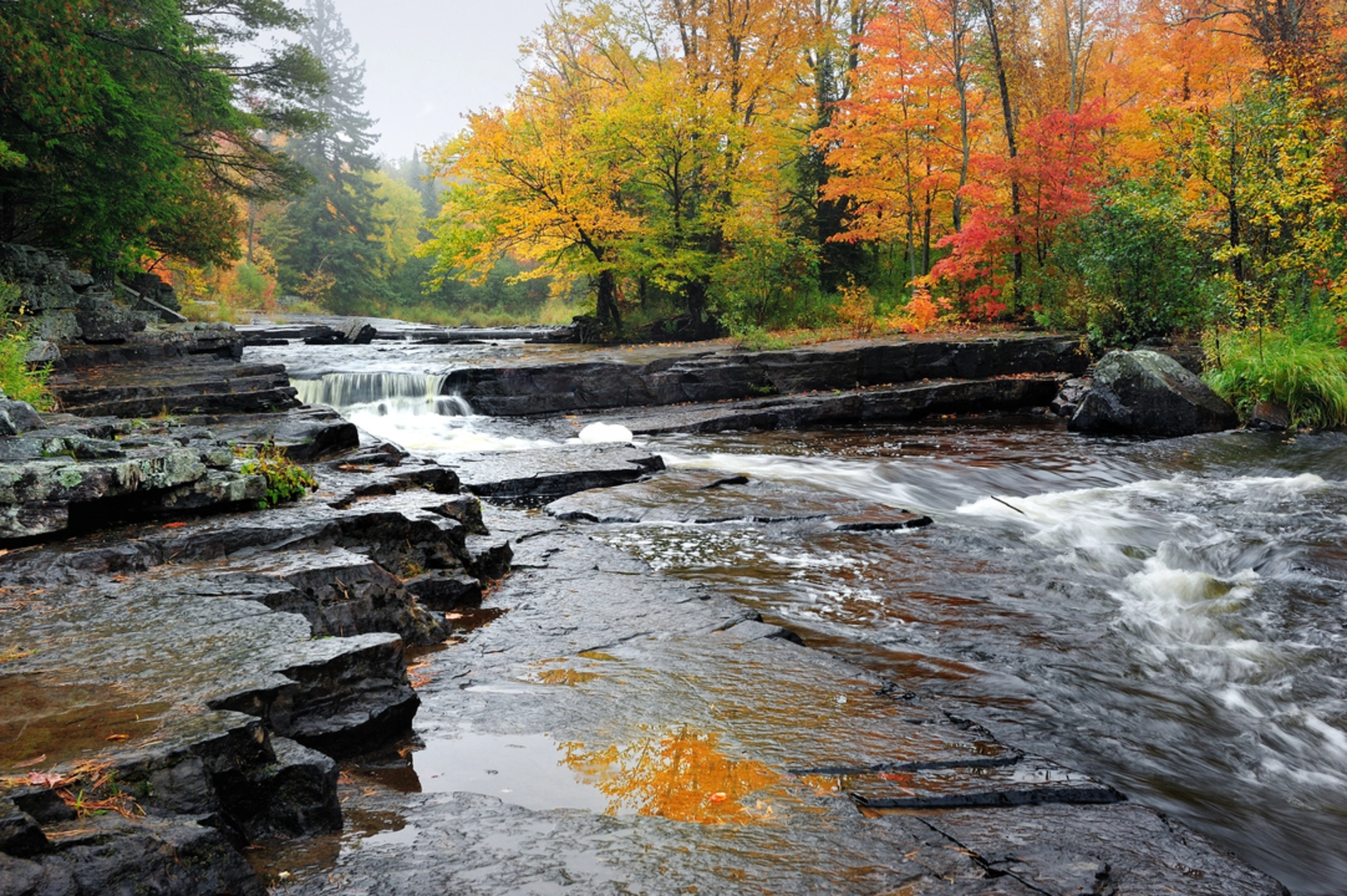 An image depicting the trail Sturgeon Falls Trail and its surrounding area.