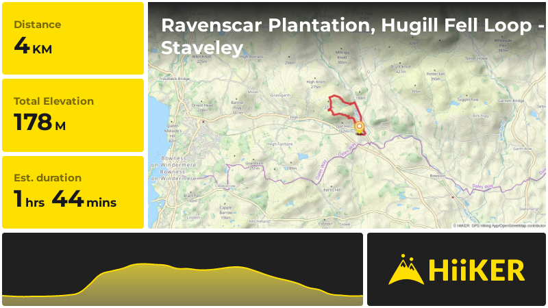 Ravenscar Plantation, Hugill Fell Loop - Staveley | Westmorland and
