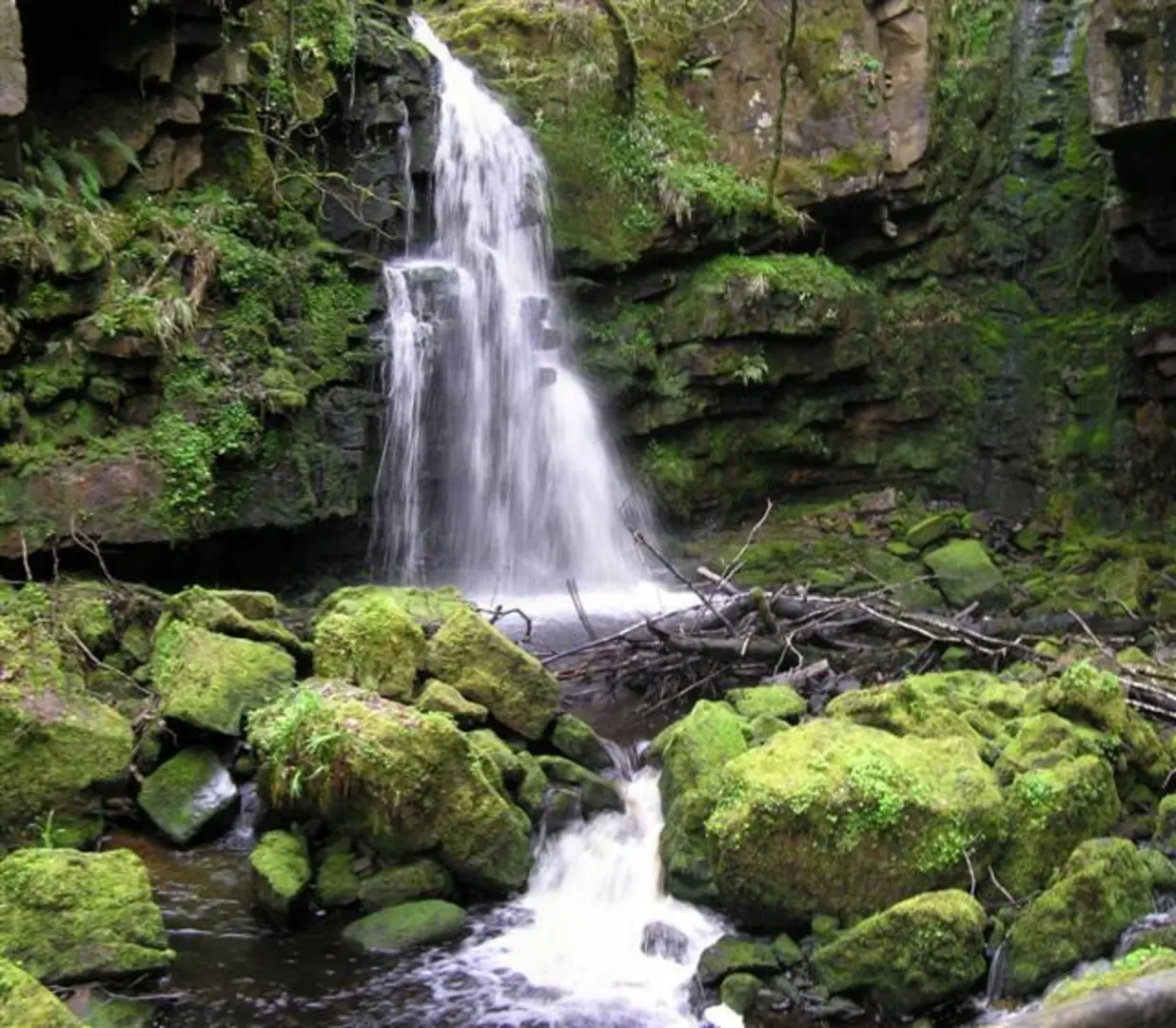An image depicting the trail Sloughan Glen and its surrounding area.