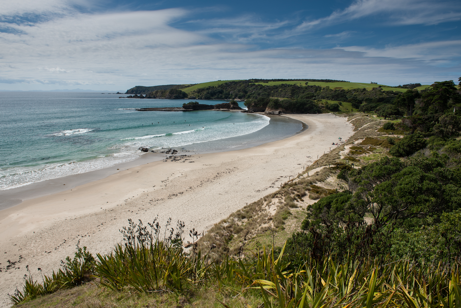 An image depicting the trail Tawharanui North Coast Track and its surrounding area.