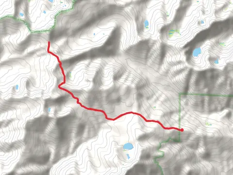 Bloody Trail