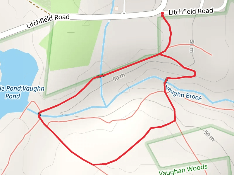 Cascade Pond and Vaughn Brook Loop