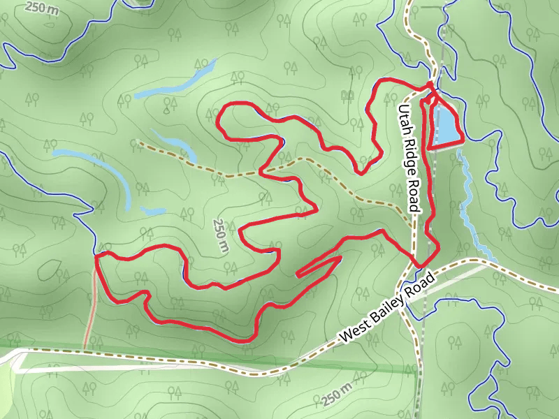 Holler Collar Trail