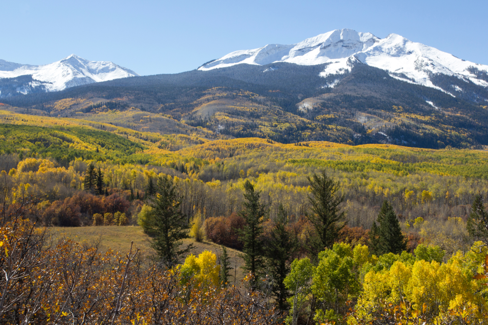 An image depicting the trail Lowline Trail via Cliff Creek Trail and its surrounding area.