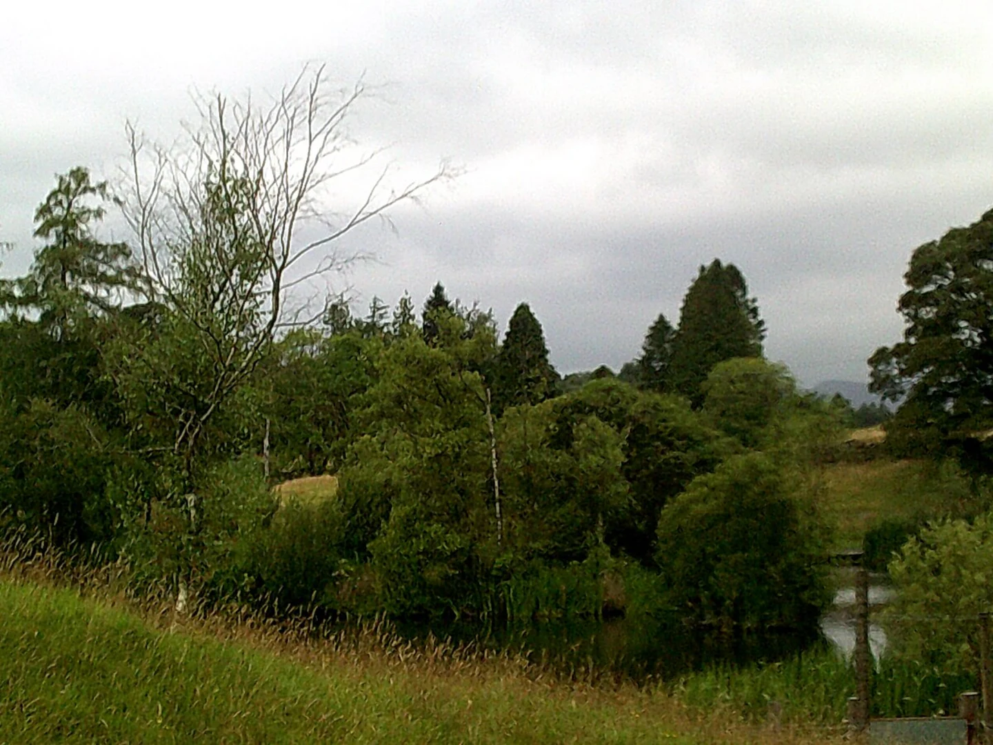 An image depicting the trail Burneside to Bowness On Windermere Walk and its surrounding area.