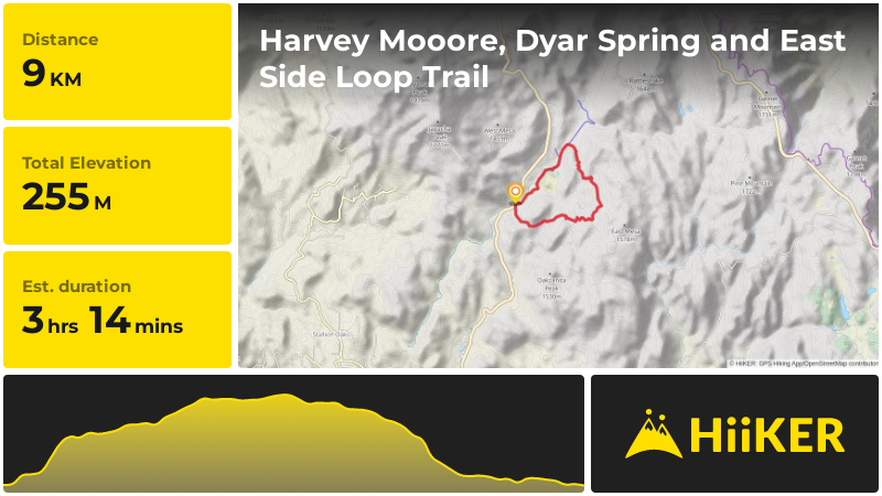 Harvey Mooore, Dyar Spring and East Side Loop Trail | San Diego County