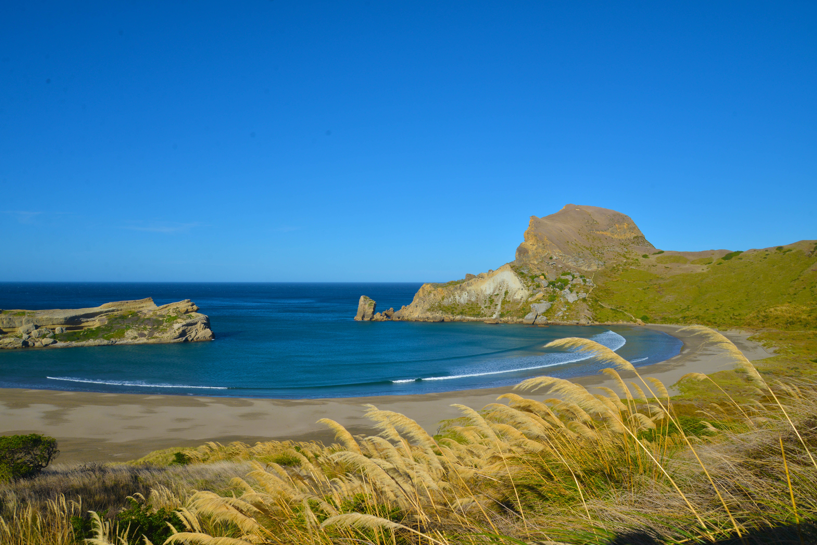An image depicting the trail Deliverance Cove Track and its surrounding area.