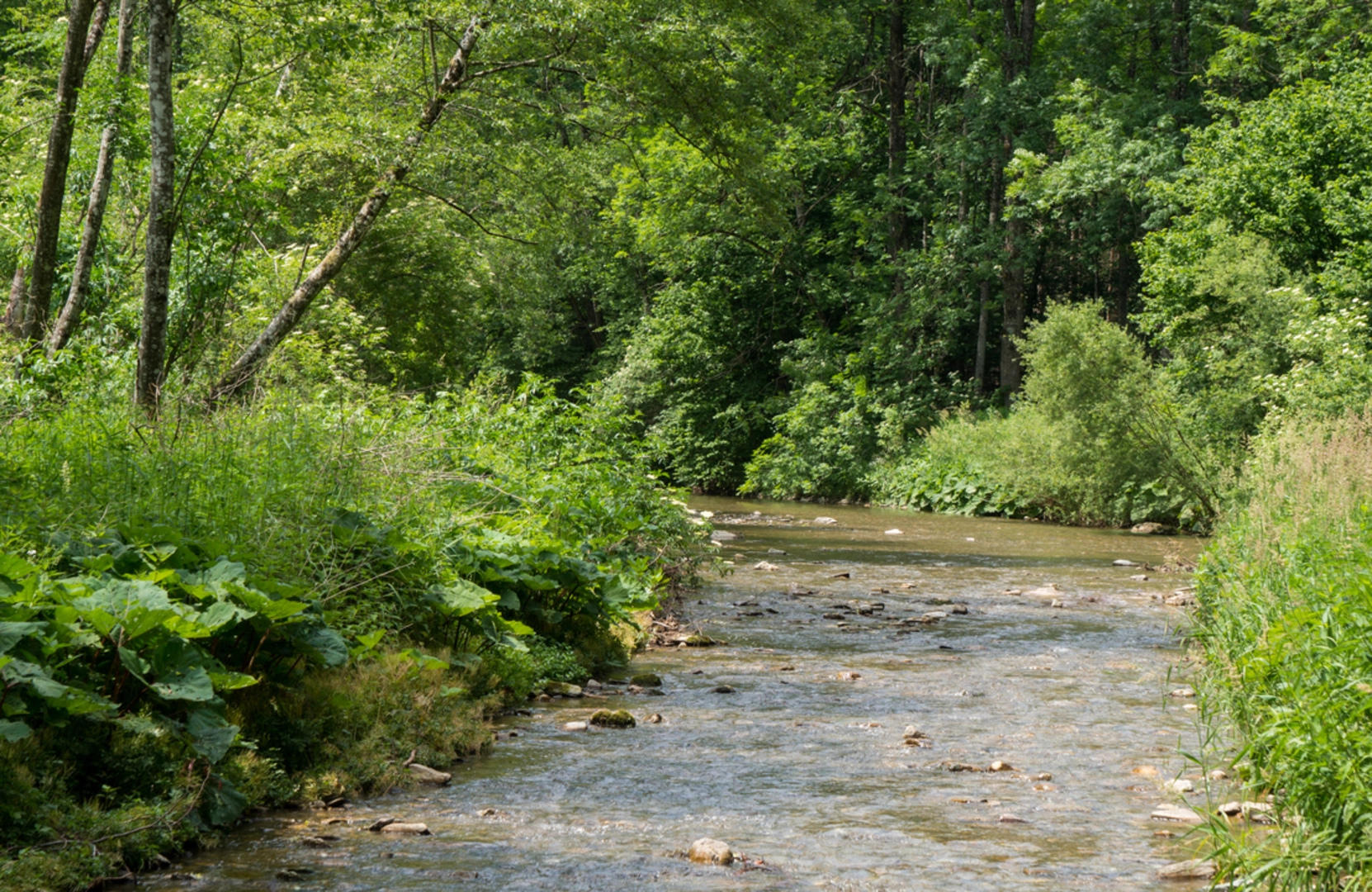 An image depicting the trail Great Raab Loop and its surrounding area.