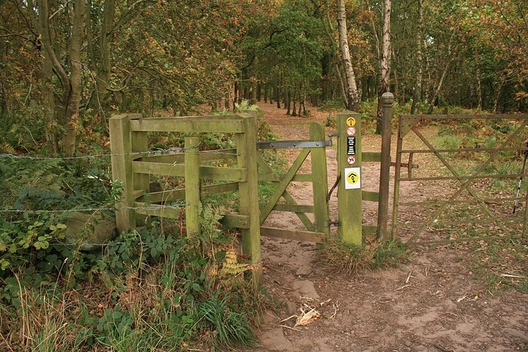 Higher Burwardsley and Brown Knowl Loop via Maiden Castle