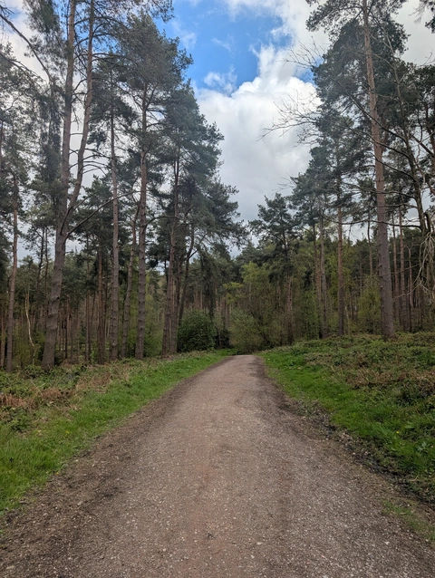 Hike from Ticknall to Calke Abbey with reservoir