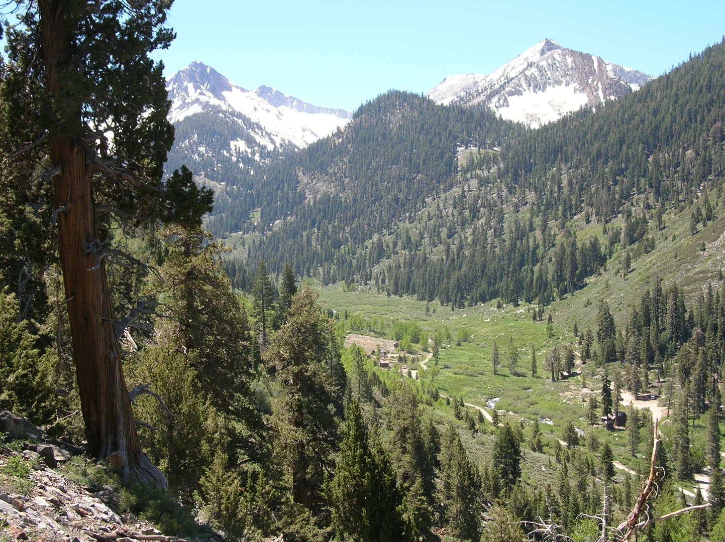 An image depicting the trail Mineral King Road and its surrounding area.