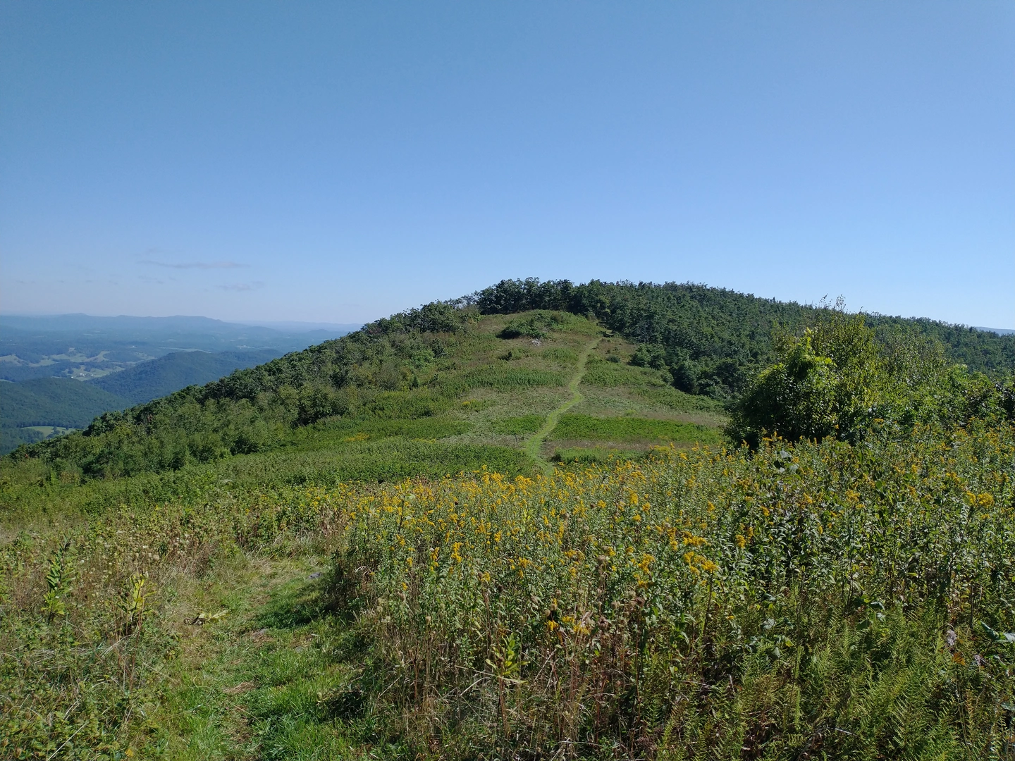 An image depicting the trail Peters Mountain Trail and its surrounding area.