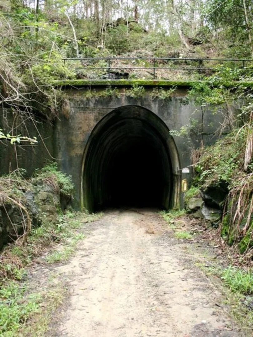 An image depicting the trail Tunnel Track - Dularcha and its surrounding area.