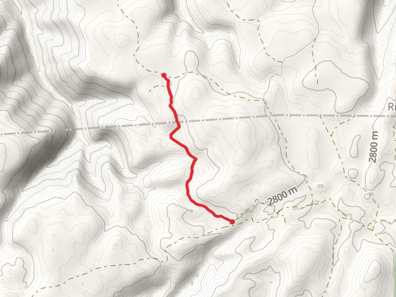 Lost Boy Trail