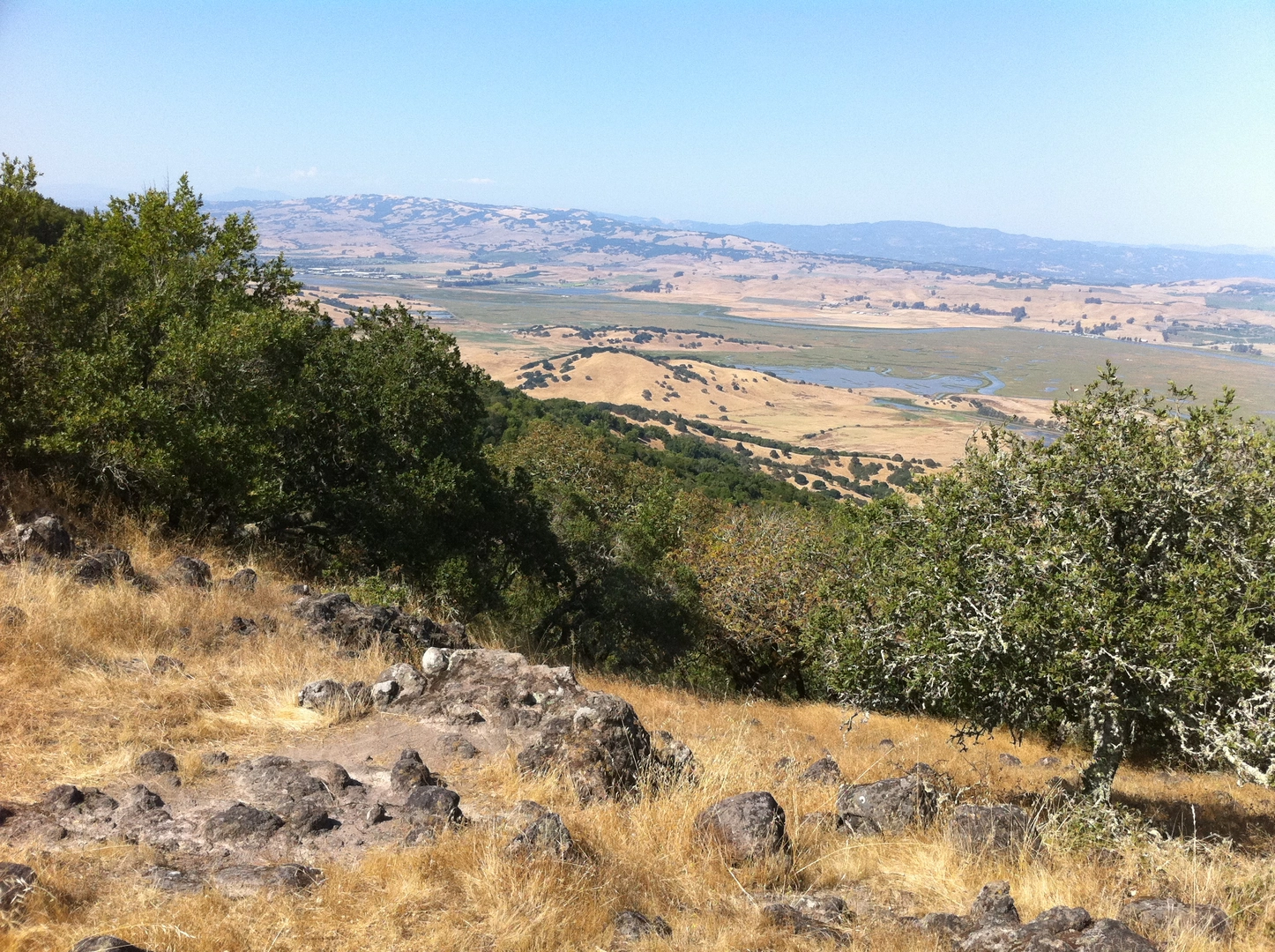 An image depicting the trail Burdell Mountain via Dwarf Oak Trail and its surrounding area.