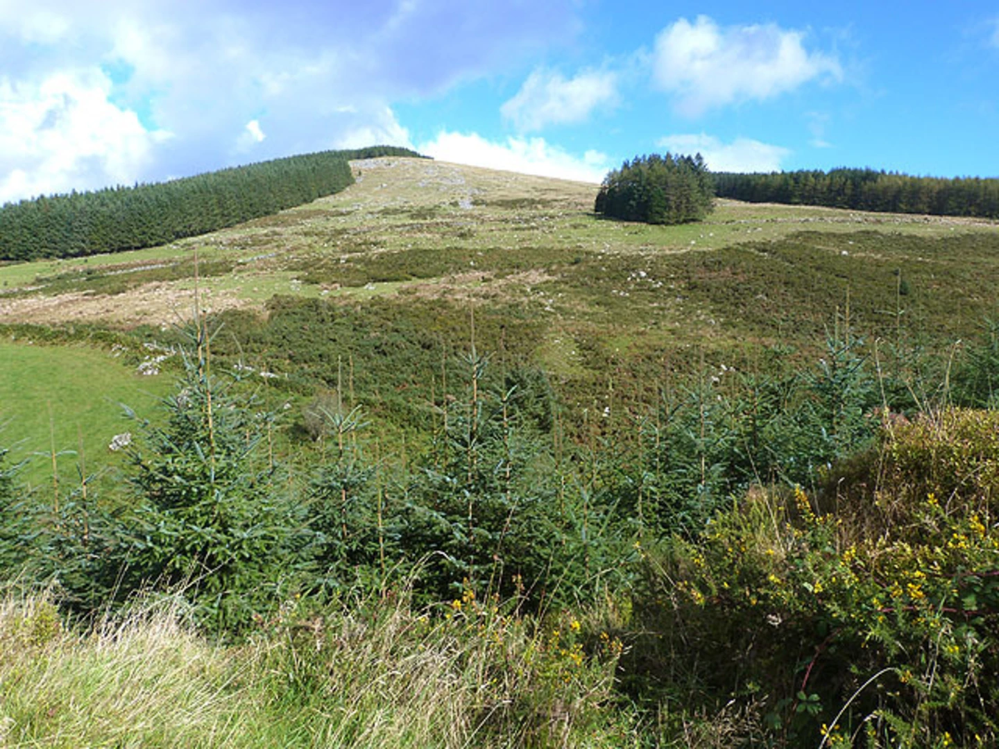 An image depicting the trail Slieve Maan and Fananierin Loop and its surrounding area.