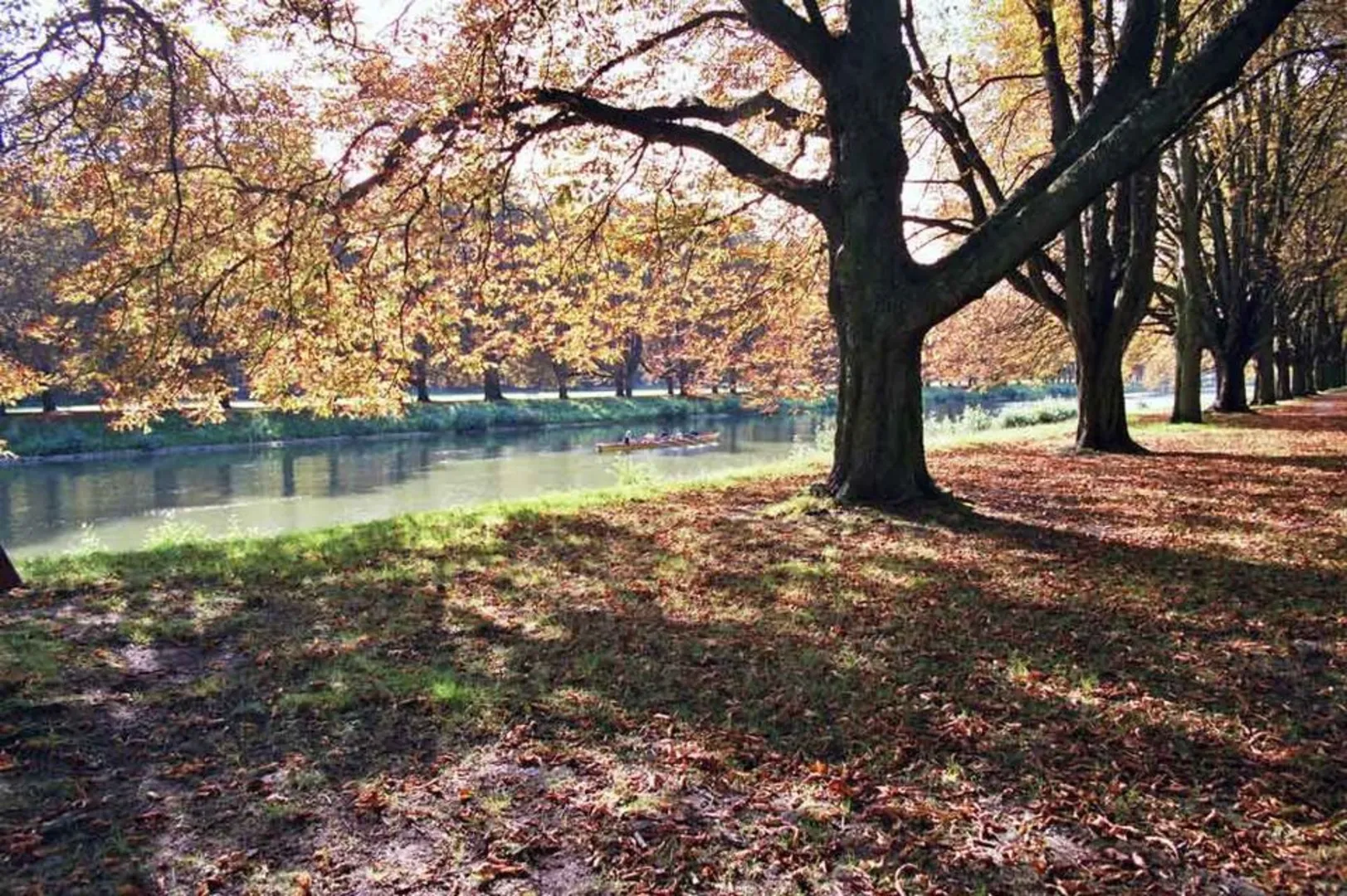 An image depicting the trail Decksteiner Weiher and Waldlehrpfad im Stadtwald Köln Loop and its surrounding area.