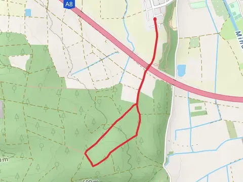 Wald Eriebnis Weg