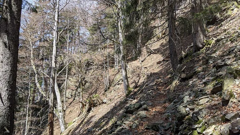 Alpiner Pfad