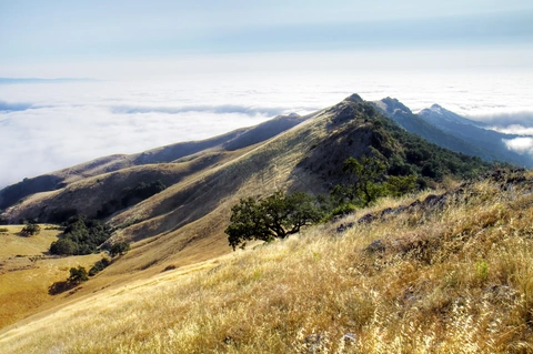 Fremont Peak Loop Trail