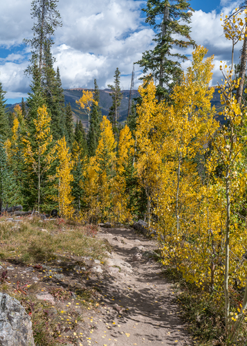 Gore Range Trail