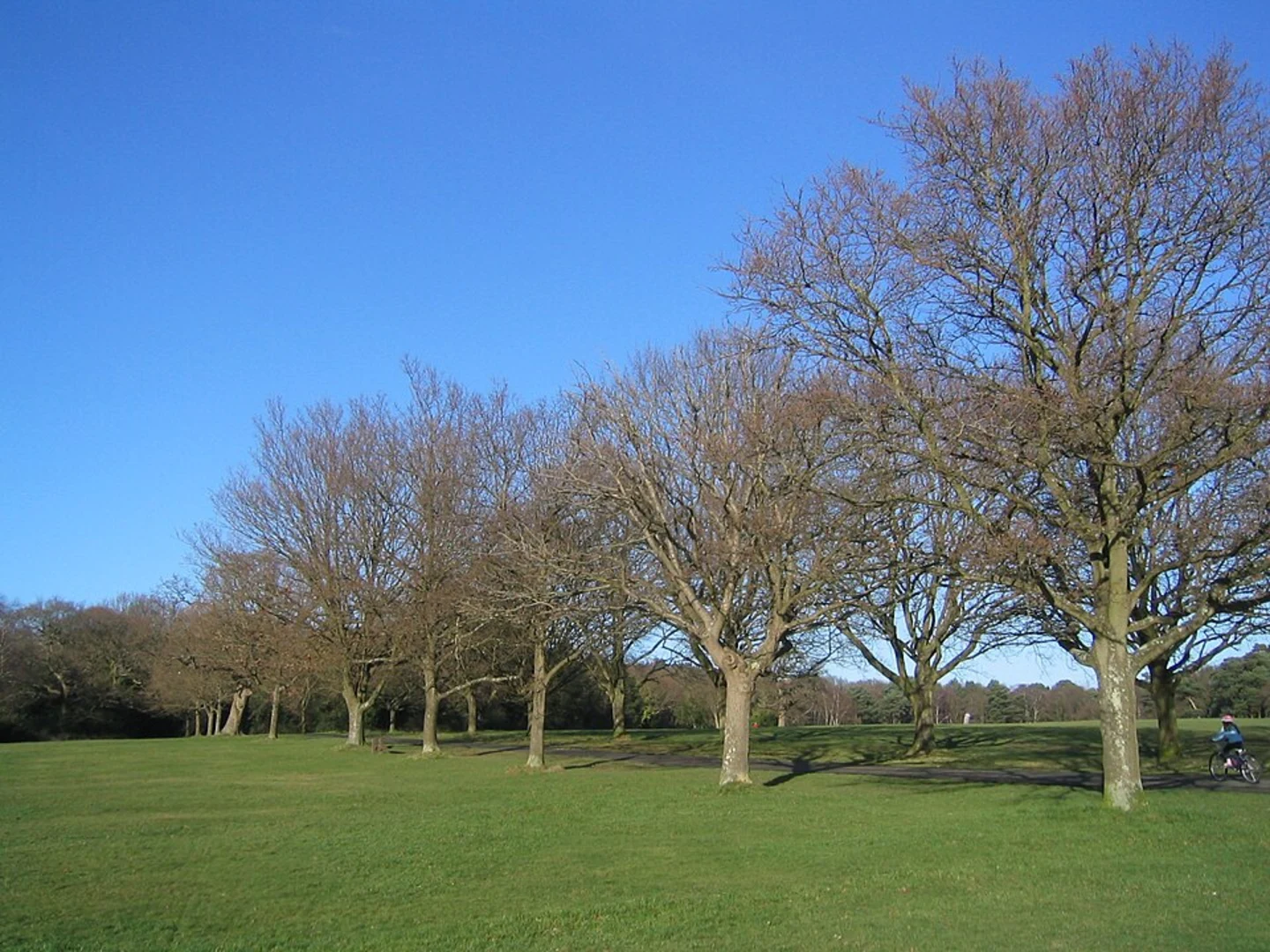 An image depicting the trail Southampton Common, The Ornamental Lake and Cemetery Lake Loop and its surrounding area.