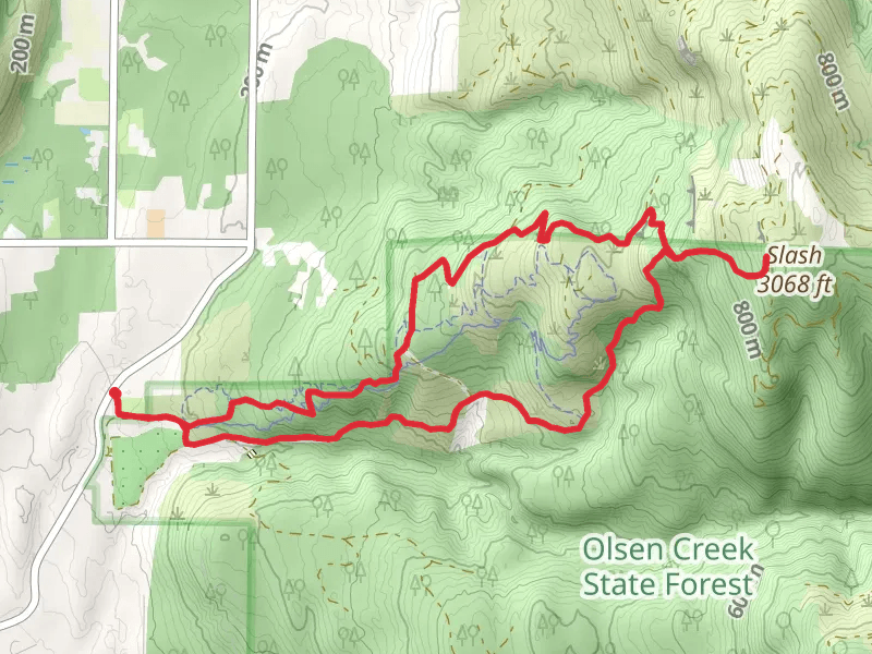 Y Road Loop Trail