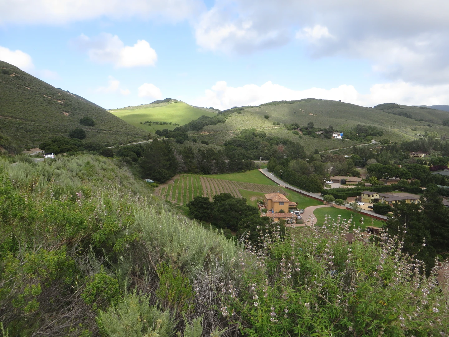 An image depicting the trail Mount Carmel and Devils Peak via Skinner Ridge Trail and its surrounding area.