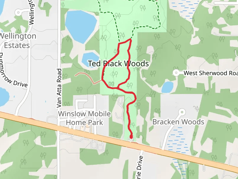 Ted Black Woods Loop