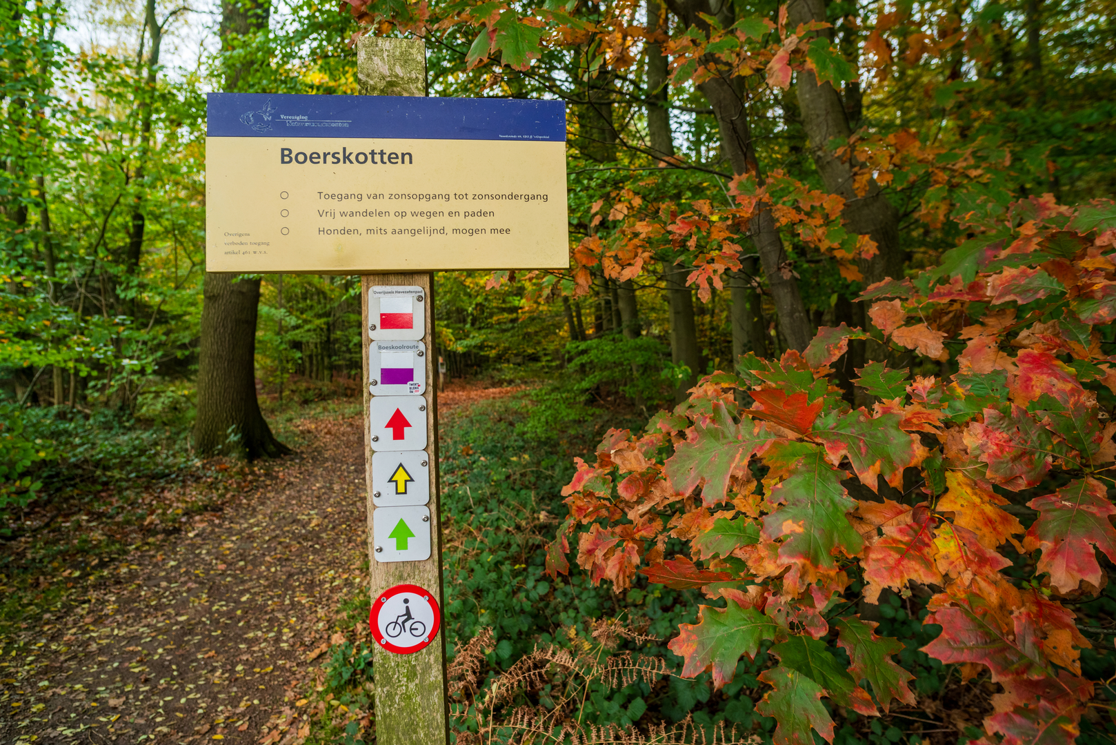 An image depicting the trail Boerskotten and Harink Weg Loop and its surrounding area.