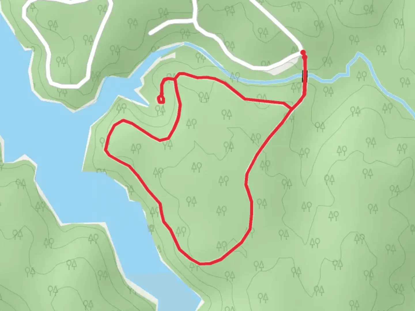 An image depicting the trail Grassy Creek Loop Trail and its surrounding area.