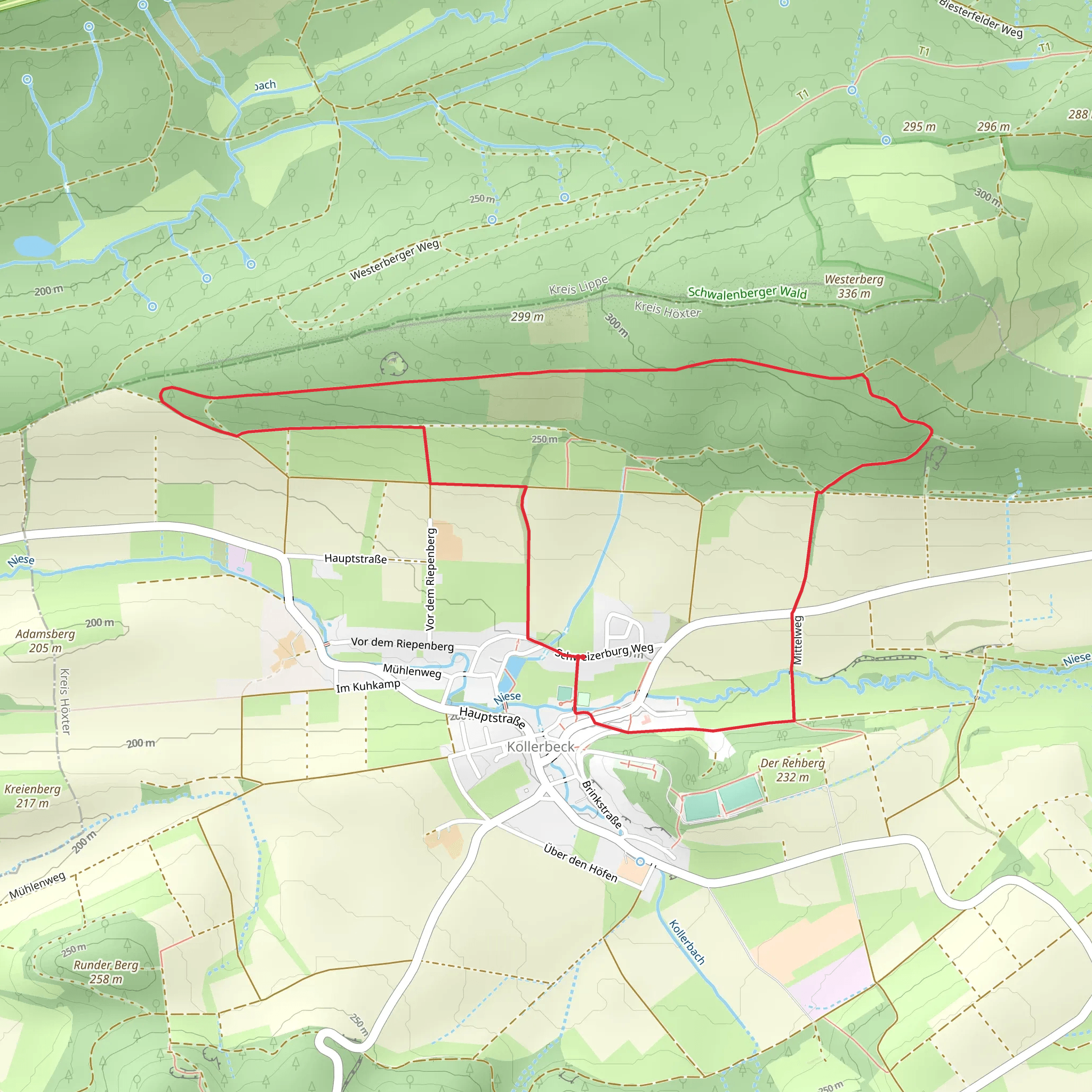 Burgensteig and Niesetalweg Loop mobile static map