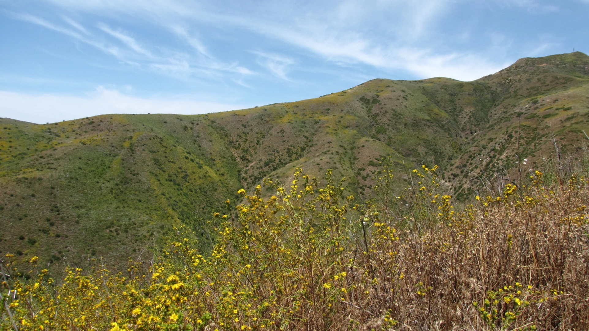 An image depicting the trail Solstice Canyon Loop Trail and its surrounding area.